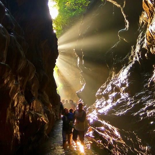 Robbers Cave destination in Dehradun scenic view with mild sunlight