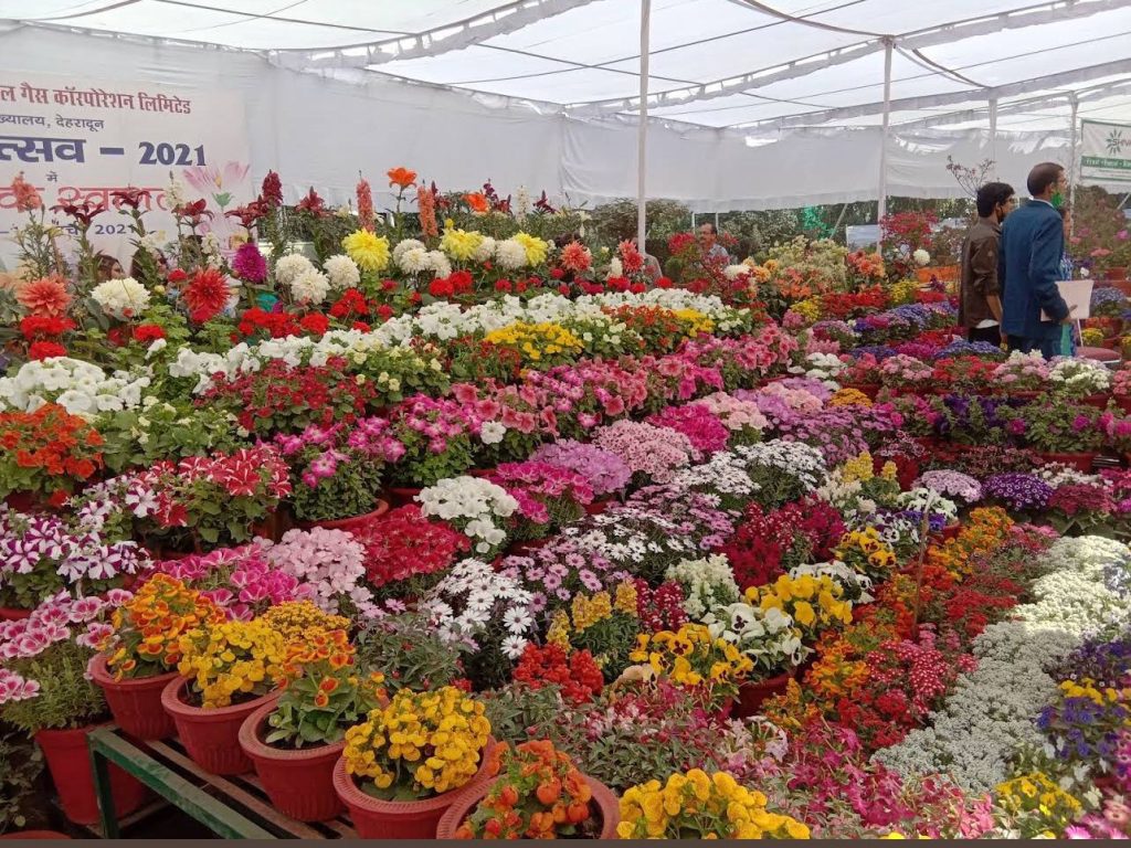 Vasantotsav, an annual flower show held at Raj Bhawan in Spring season near best homestay in dehradun